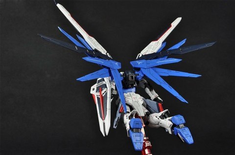RG 1/144 FREEDOM GUNDAM BL RG 1/144 FREEDOM GUNDAM BL