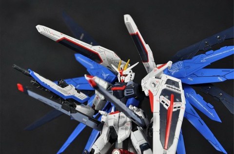 RG 1/144 FREEDOM GUNDAM BL RG 1/144 FREEDOM GUNDAM BL