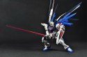 RG 1/144 FREEDOM GUNDAM BL
