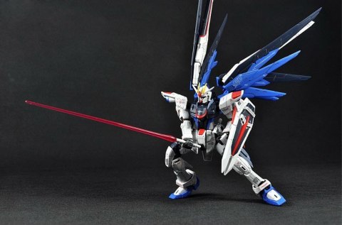 RG 1/144 FREEDOM GUNDAM BL RG 1/144 FREEDOM GUNDAM BL