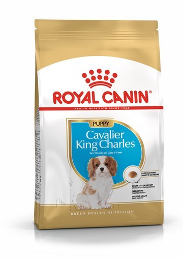 ROYAL CANIN BHN Cavalier King Charles Spaniel Puppy - sucha karma dla szczeniąt - 1,5 kg ROYAL CANIN BHN Cavalier King Charles Spaniel Puppy - sucha karma dla szczeniąt - 1,5 kg