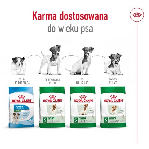 ROYAL CANIN Mini Ageing +12 3,5kg ROYAL CANIN Mini Ageing +12 3,5kg