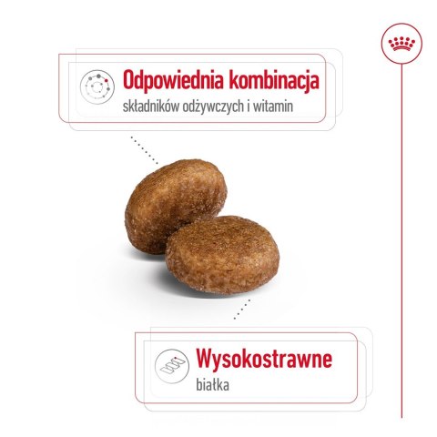 ROYAL CANIN SHN Maxi Adult 5+ - sucha karma dla psa dorosłego - 15 kg ROYAL CANIN SHN Maxi Adult 5+ - sucha karma dla psa dorosłego - 15 kg