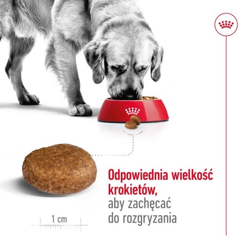 ROYAL CANIN SHN Maxi Adult 5+ - sucha karma dla psa dorosłego - 15 kg ROYAL CANIN SHN Maxi Adult 5+ - sucha karma dla psa dorosłego - 15 kg