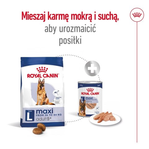 ROYAL CANIN SHN Maxi Adult 5+ - sucha karma dla psa dorosłego - 15 kg ROYAL CANIN SHN Maxi Adult 5+ - sucha karma dla psa dorosłego - 15 kg