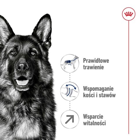 ROYAL CANIN SHN Maxi Adult 5+ - sucha karma dla psa dorosłego - 15 kg ROYAL CANIN SHN Maxi Adult 5+ - sucha karma dla psa dorosłego - 15 kg