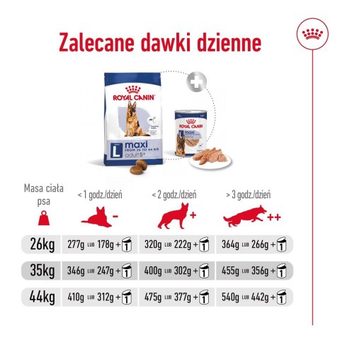 ROYAL CANIN SHN Maxi Adult 5+ - sucha karma dla psa dorosłego - 15 kg ROYAL CANIN SHN Maxi Adult 5+ - sucha karma dla psa dorosłego - 15 kg