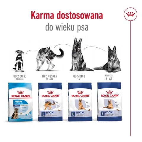 ROYAL CANIN SHN Maxi Adult 5+ - sucha karma dla psa dorosłego - 15 kg ROYAL CANIN SHN Maxi Adult 5+ - sucha karma dla psa dorosłego - 15 kg