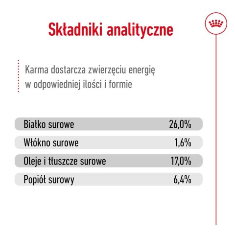 ROYAL CANIN SHN Maxi Adult 5+ - sucha karma dla psa dorosłego - 15 kg ROYAL CANIN SHN Maxi Adult 5+ - sucha karma dla psa dorosłego - 15 kg