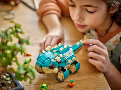 LEGO Jurassic World 76962 LEGO Jurassic World 76962