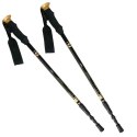 Kije trekking/Nordic Walking 50% CARBON NILS NW-TK19