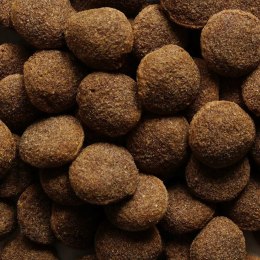 BIOFEED NASZ PIES Z WOŁOWINĄ 15 KG (WYPRZEDAŻ)