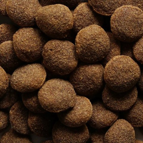 BIOFEED NASZ PIES Z WOŁOWINĄ 15 KG (WYPRZEDAŻ) BIOFEED NASZ PIES Z WOŁOWINĄ 15 KG (WYPRZEDAŻ)