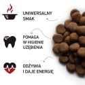 BIOFEED NASZ PIES Z WOŁOWINĄ 15 KG (WYPRZEDAŻ)