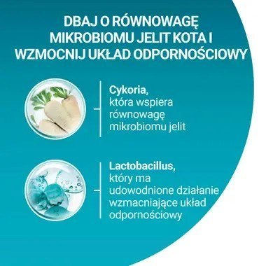 PURINA ONE Sterilcat Wołowina 9,75kg PURINA ONE Sterilcat Wołowina 9,75kg