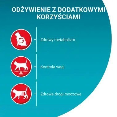 PURINA ONE Sterilcat Wołowina 9,75kg PURINA ONE Sterilcat Wołowina 9,75kg