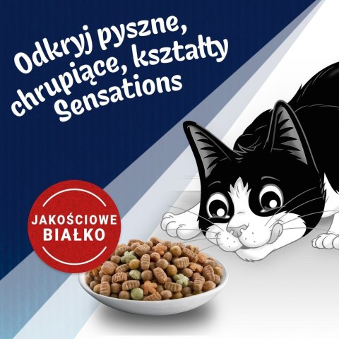 Purina FELIX Countryside Sensations Wołowina 1kg Purina FELIX Countryside Sensations Wołowina 1kg