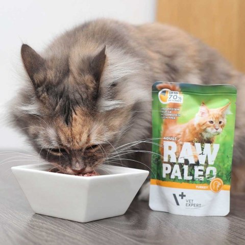 VetExpert Raw Paleo adult cat - Indyk saszetka 100g VetExpert Raw Paleo adult cat - Indyk saszetka 100g