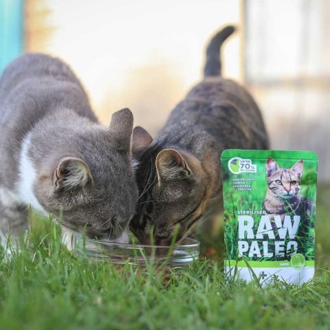 VetExpert Raw Paleo sterilised Dzik saszetka 100g VetExpert Raw Paleo sterilised Dzik saszetka 100g