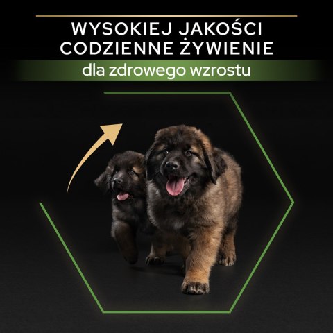 PURINA PRO PLAN Large Robust Puppy z formułą OPTISTART - sucha karma dla szczeniąt - 12 kg PURINA PRO PLAN Large Robust Puppy z formułą OPTISTART - sucha karma dla szczeniąt - 12 kg