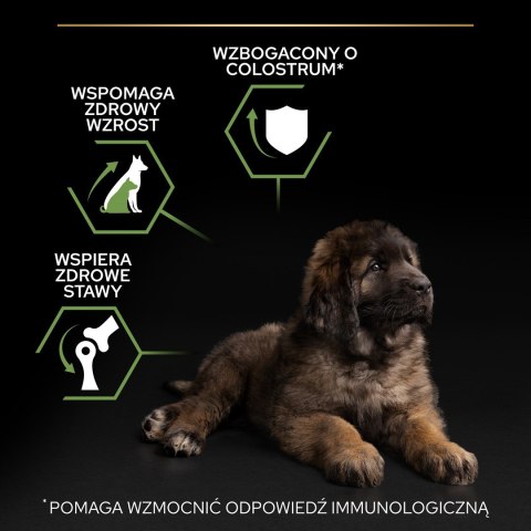 PURINA PRO PLAN Large Robust Puppy z formułą OPTISTART - sucha karma dla szczeniąt - 12 kg PURINA PRO PLAN Large Robust Puppy z formułą OPTISTART - sucha karma dla szczeniąt - 12 kg