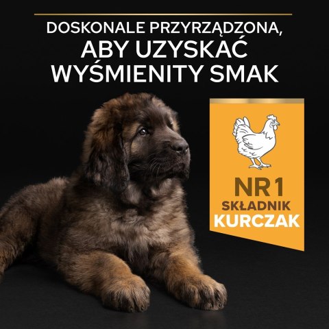 PURINA PRO PLAN Large Robust Puppy z formułą OPTISTART - sucha karma dla szczeniąt - 12 kg PURINA PRO PLAN Large Robust Puppy z formułą OPTISTART - sucha karma dla szczeniąt - 12 kg