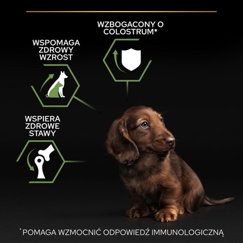 PURINA PRO PLAN Puppy Small & Mini - sucha karma dla szczeniąt - 7kg PURINA PRO PLAN Puppy Small & Mini - sucha karma dla szczeniąt - 7kg