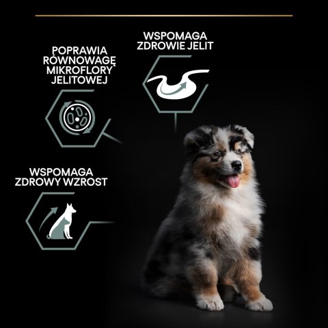 Purina Pro Plan Medium Puppy Sensitive OPTIDIGEST Jagnięcina 12kg Purina Pro Plan Medium Puppy Sensitive OPTIDIGEST Jagnięcina 12kg