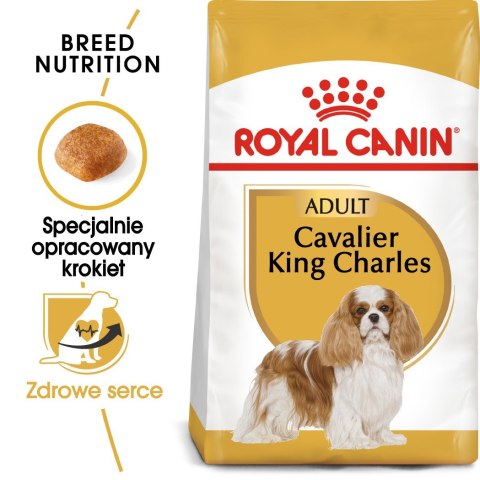 ROYAL CANIN BHN Cavalier King Charles Spaniel Adult - sucha karma dla psa dorosłego - 1,5kg ROYAL CANIN BHN Cavalier King Charles Spaniel Adult - sucha karma dla psa dorosłego - 1,5kg