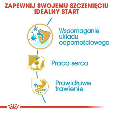 ROYAL CANIN BHN Cavalier King Charles Spaniel Puppy - sucha karma dla szczeniąt - 1,5 kg ROYAL CANIN BHN Cavalier King Charles Spaniel Puppy - sucha karma dla szczeniąt - 1,5 kg