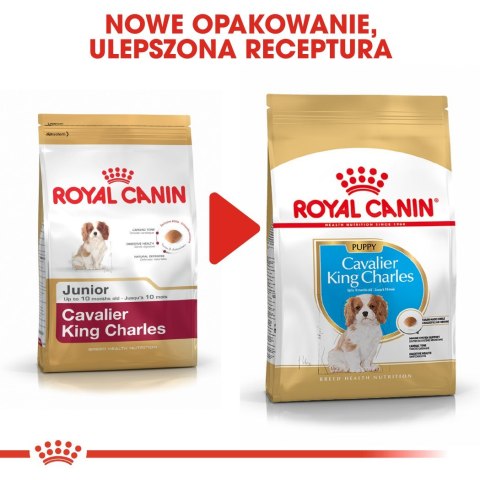 ROYAL CANIN BHN Cavalier King Charles Spaniel Puppy - sucha karma dla szczeniąt - 1,5 kg ROYAL CANIN BHN Cavalier King Charles Spaniel Puppy - sucha karma dla szczeniąt - 1,5 kg