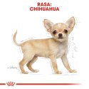 ROYAL CANIN BHN Chihuahua Puppy - sucha karma dla szczeniąt - 1,5kg