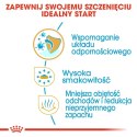 ROYAL CANIN BHN Chihuahua Puppy - sucha karma dla szczeniąt - 1,5kg