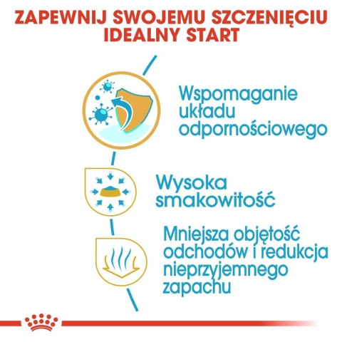 ROYAL CANIN BHN Chihuahua Puppy - sucha karma dla szczeniąt - 1,5kg ROYAL CANIN BHN Chihuahua Puppy - sucha karma dla szczeniąt - 1,5kg