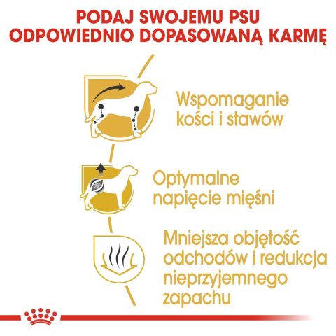 ROYAL CANIN BHN Dachshund Adult - sucha karma dla psa dorosłego - 7,5kg ROYAL CANIN BHN Dachshund Adult - sucha karma dla psa dorosłego - 7,5kg