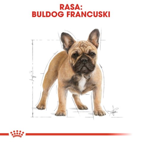 ROYAL CANIN BHN French Bulldog Adult - sucha karma dla psa dorosłego - sucha karma dla psa - 1,5 kg ROYAL CANIN BHN French Bulldog Adult - sucha karma dla psa dorosłego - sucha karma dla psa - 1,5 kg