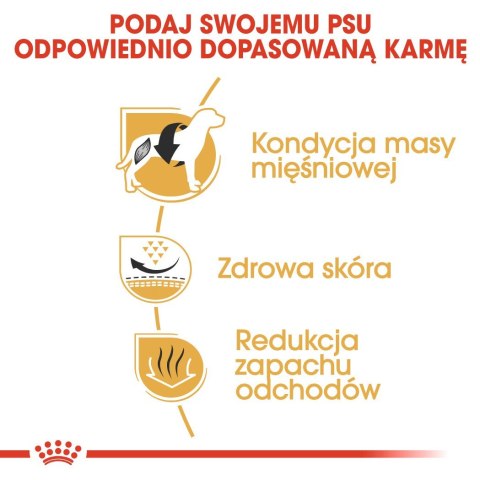 ROYAL CANIN BHN French Bulldog Adult - sucha karma dla psa dorosłego - sucha karma dla psa - 1,5 kg ROYAL CANIN BHN French Bulldog Adult - sucha karma dla psa dorosłego - sucha karma dla psa - 1,5 kg