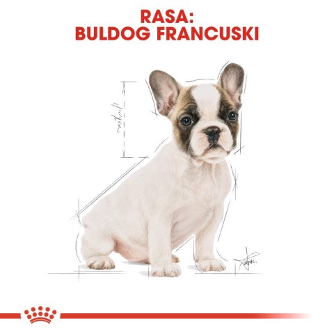 ROYAL CANIN BHN French Bulldog Puppy - sucha karma dla szczeniąt - 3kg ROYAL CANIN BHN French Bulldog Puppy - sucha karma dla szczeniąt - 3kg