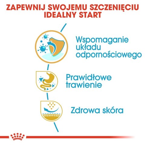 ROYAL CANIN BHN French Bulldog Puppy - sucha karma dla szczeniąt - 3kg ROYAL CANIN BHN French Bulldog Puppy - sucha karma dla szczeniąt - 3kg