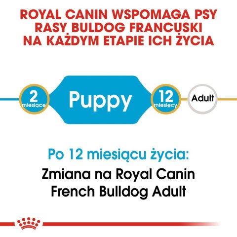 ROYAL CANIN BHN French Bulldog Puppy - sucha karma dla szczeniąt - 3kg ROYAL CANIN BHN French Bulldog Puppy - sucha karma dla szczeniąt - 3kg