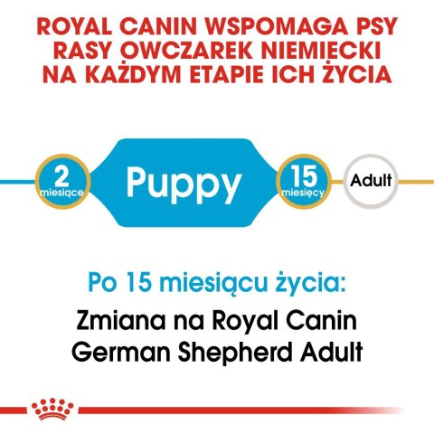 ROYAL CANIN BHN German Sh Puppy - sucha karma dla szczeniąt rasy owczarek niemiecki - 12 kg ROYAL CANIN BHN German Sh Puppy - sucha karma dla szczeniąt rasy owczarek niemiecki - 12 kg