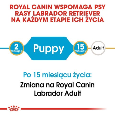ROYAL CANIN BHN Labrador Puppy - sucha karma dla szczeniąt - 12kg ROYAL CANIN BHN Labrador Puppy - sucha karma dla szczeniąt - 12kg