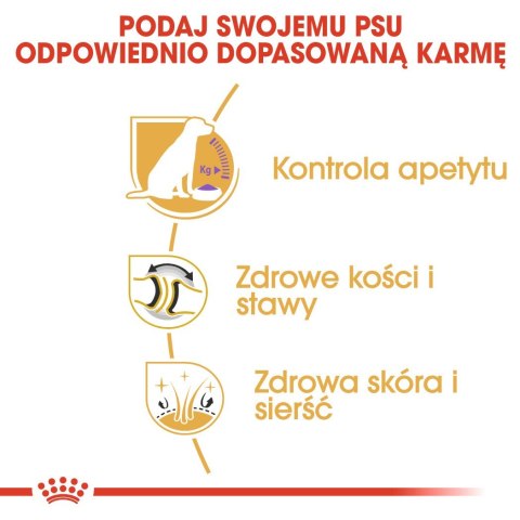 ROYAL CANIN BHN Labrador Retriever Sterilised Adult - sucha karma dla psa dorosłego - 12 kg ROYAL CANIN BHN Labrador Retriever Sterilised Adult - sucha karma dla psa dorosłego - 12 kg