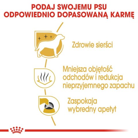 ROYAL CANIN BHN Maltese Adult - sucha karma dla psa dorosłego - 1,5kg ROYAL CANIN BHN Maltese Adult - sucha karma dla psa dorosłego - 1,5kg