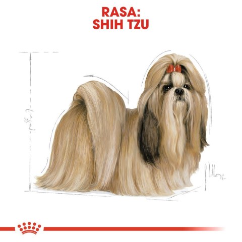 ROYAL CANIN BHN Shih Tzu Adult - sucha karma dla psa dorosłego - 1,5 kg ROYAL CANIN BHN Shih Tzu Adult - sucha karma dla psa dorosłego - 1,5 kg