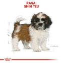 ROYAL CANIN BHN Shih Tzu Puppy - sucha karma dla szczeniąt - 0,5kg