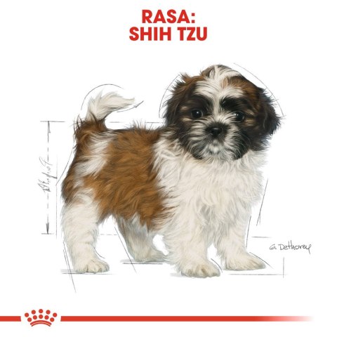 ROYAL CANIN BHN Shih Tzu Puppy - sucha karma dla szczeniąt - 0,5kg ROYAL CANIN BHN Shih Tzu Puppy - sucha karma dla szczeniąt - 0,5kg