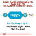 ROYAL CANIN BHN Shih Tzu Puppy - sucha karma dla szczeniąt - 0,5kg
