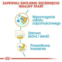 ROYAL CANIN BHN Shih Tzu Puppy - sucha karma dla szczeniąt - 0,5kg