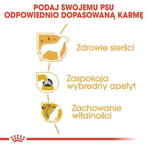 ROYAL CANIN BHN Yorkshire Terrier Adult - sucha karma dla psa dorosłego - 7,5 kg ROYAL CANIN BHN Yorkshire Terrier Adult - sucha karma dla psa dorosłego - 7,5 kg